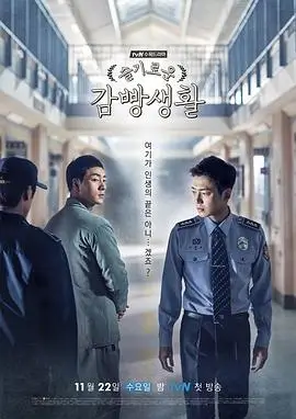 七七视频热门悬疑剧雾港回声封面